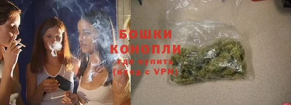 гидропоника Богданович