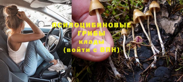 прущая мука Богородск