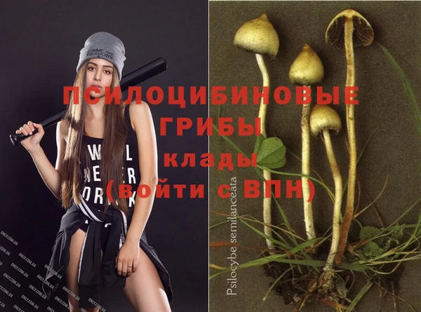 прущая мука Богородск