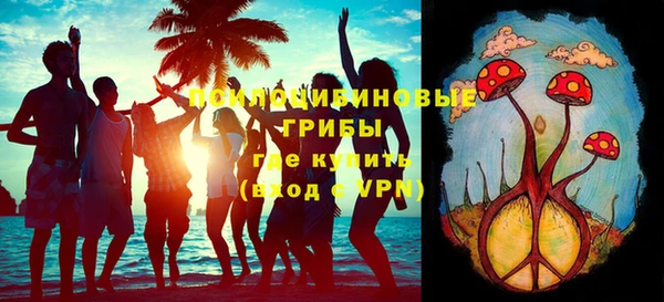 гидропоника Богданович