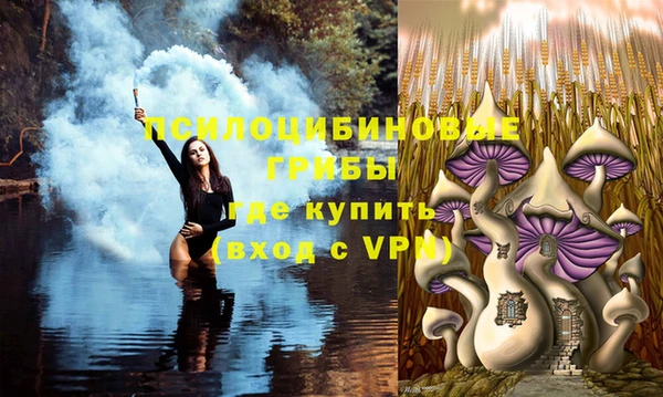 гидропоника Богданович