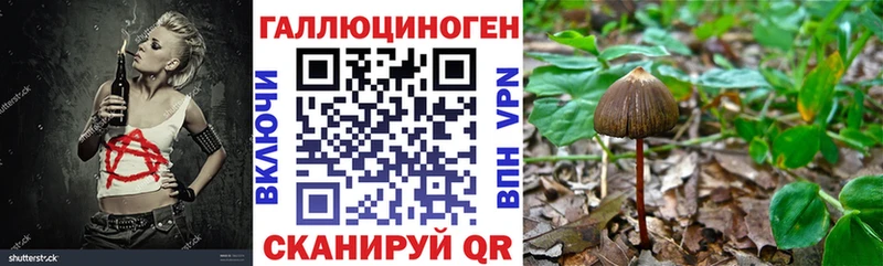 Галлюциногенные грибы GOLDEN TEACHER Ковылкино
